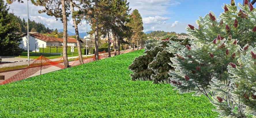 Predlog zasaditve KS Gorica