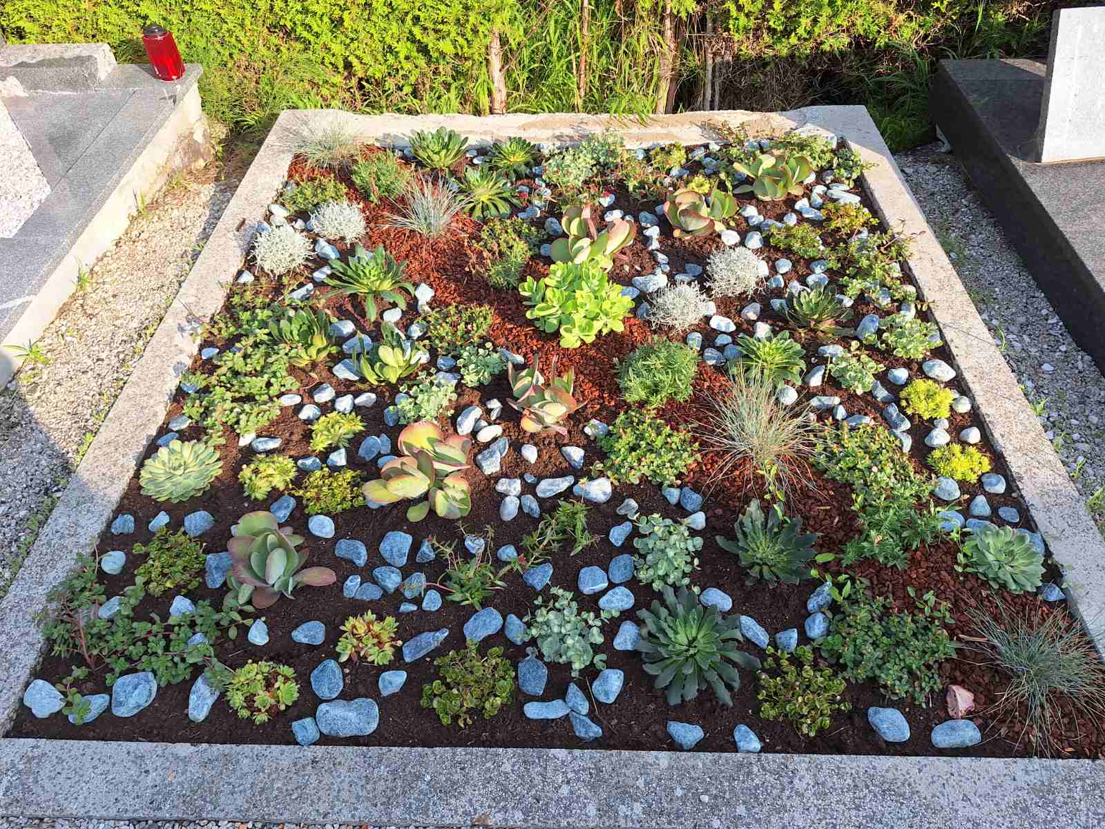 Vzorčna zasaditev groba 1